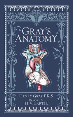 Immagine prodotto Gray's Anatomy (Barnes & Noble Collectible Classics: Omnibus Edition) (Inglese, Henry Gray, 2018)