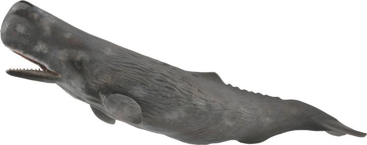 Image du produit Collecta Cachalots, 88835