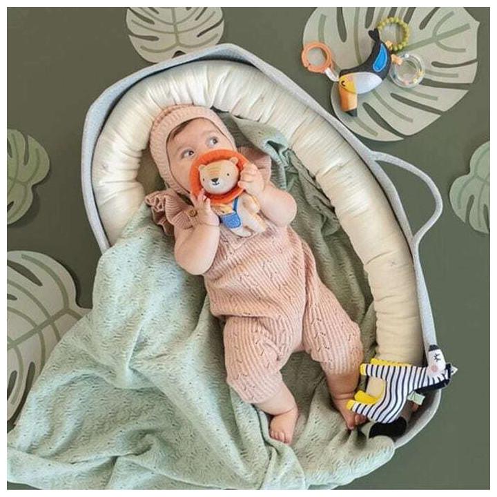 Image du produit Taf Toys Dizi le zèbre
