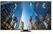 Produktbild Samsung QE98C (3840 x 2160 Pixel, 98")