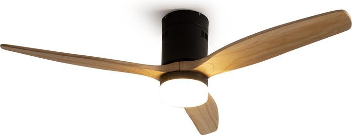 Create Wind Calm (50 dB)