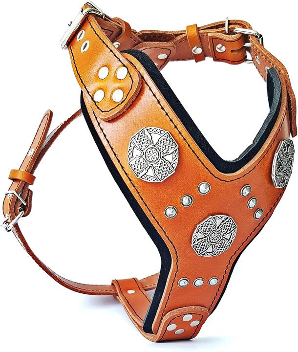 Image du produit Bestia Brustgeschirr - Maximus (XXL, Chien, Promenade, Général)