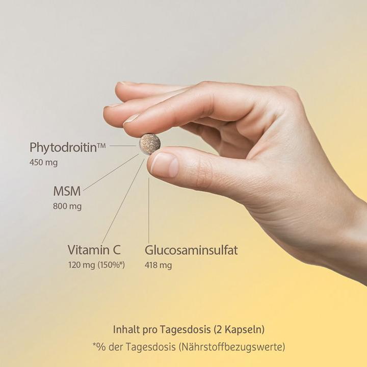 Actual product image Effective Nature MSM mit Glucosamin und Phytodroitin (120 Piece, Pills, 120 g)