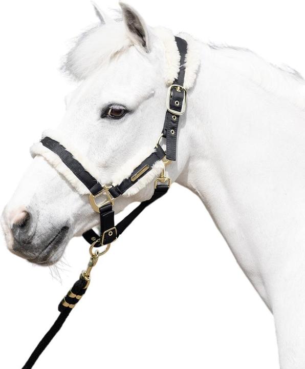 Immagine prodotto Coldstream Langlee Luxury Cavezza e Guinzaglio per Cavallo