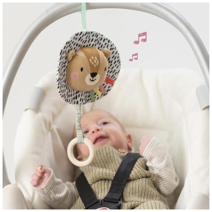 Actual product image Taf Toys Harry the Lion