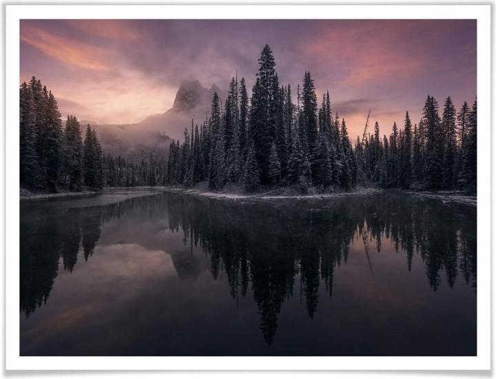 Immagine prodotto Trenddeko Foresta delle fiabe (100 x 80 cm)