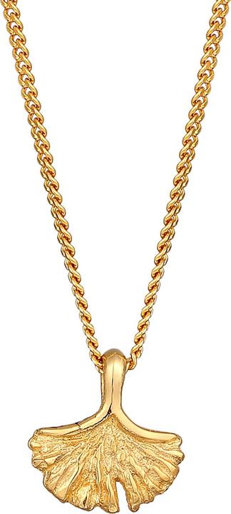 Produktbild Elli PREMIUM Halskette Ginkgo Blatt Anhänger Natur 375er Gelbgold (375 Gelbgold, 45 cm)
