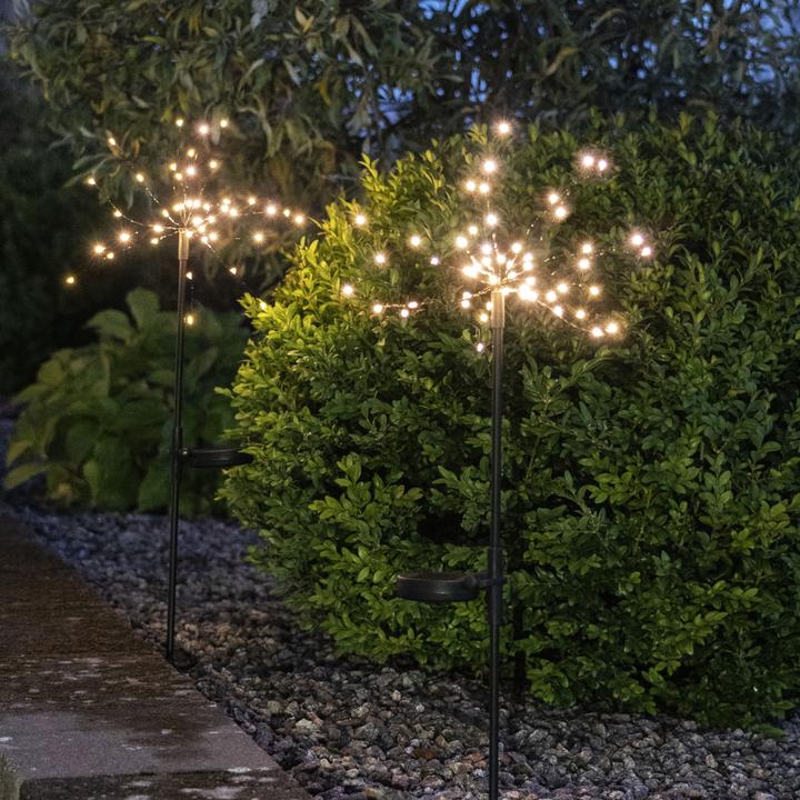 Image du produit Star Trading Décoration solaire Firework (IP44)