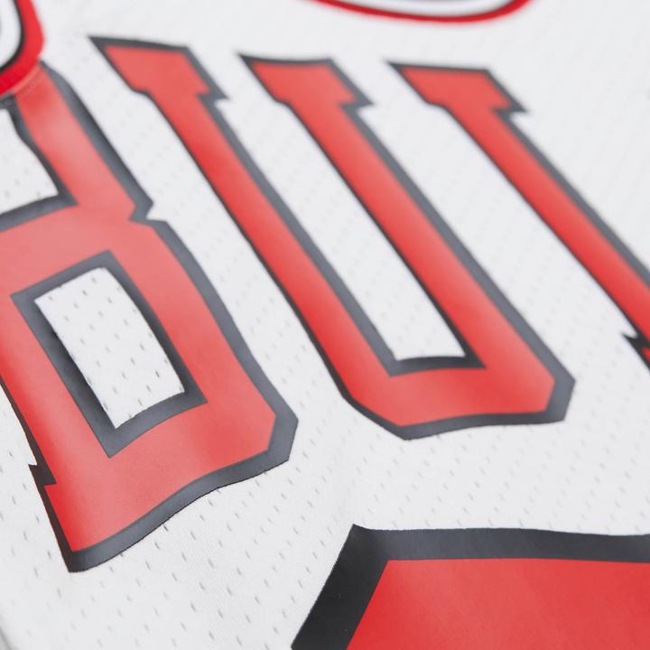 Actual product image Mitchell & Ness Swingman Mesh Jersey Chicago Bulls 1997 Dennis Rodman - L (L)