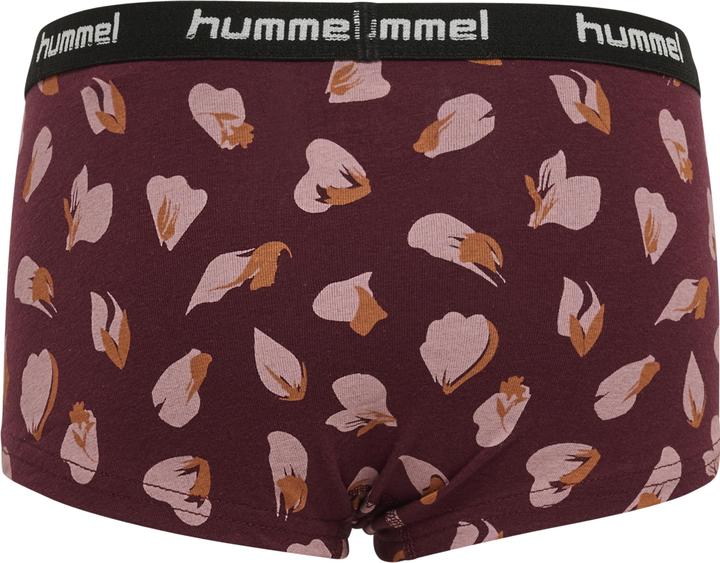 Image du produit hummel Hmlcarolina Hipsters 2-Pack (104, lot de 2)