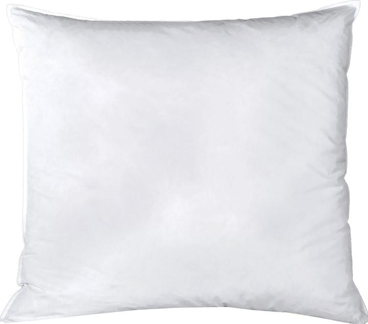 Image du produit Betten Duscher Oreillers en plumes/duvet (65 x 65 cm)