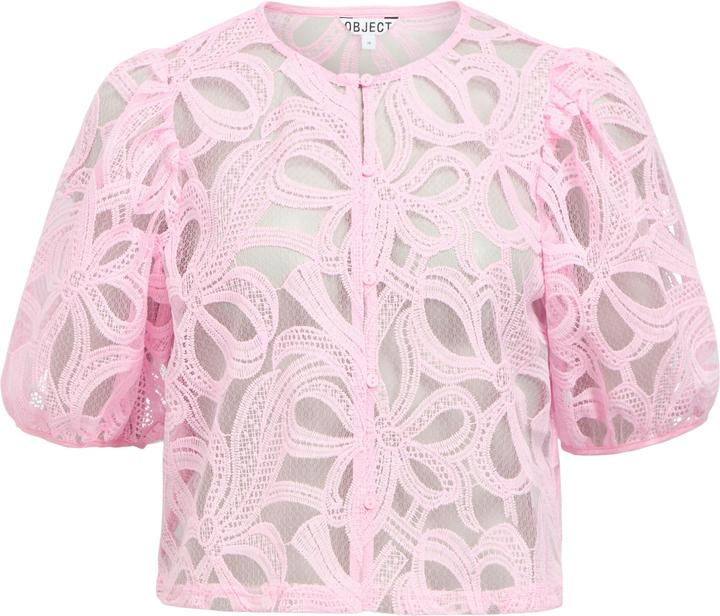 Pink Frosting