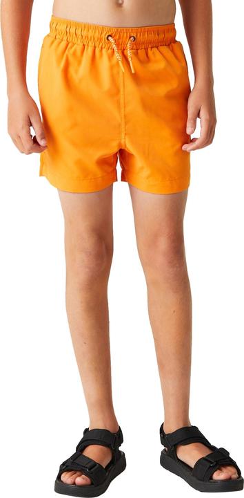 Actual product image Regatta Childrens/Kids Skander III Plain Swim Shorts (164)