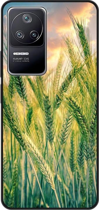 Cornfield