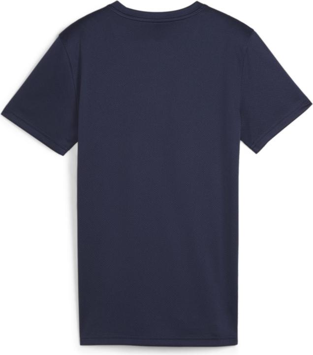 Puma teamGOAL Jersey Wmn
