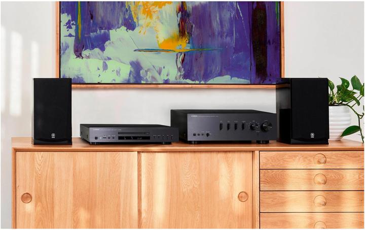 Actual product image Yamaha CD-S303 (CD player)