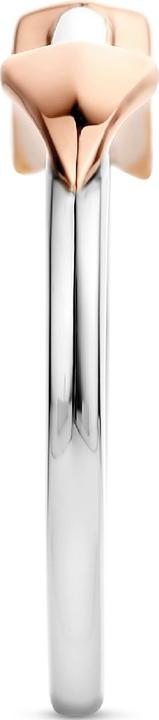 Produktbild Ti Sento Milano Ring Pfeil Perlmutt bicolor 12198MW (52, 925 Silber)