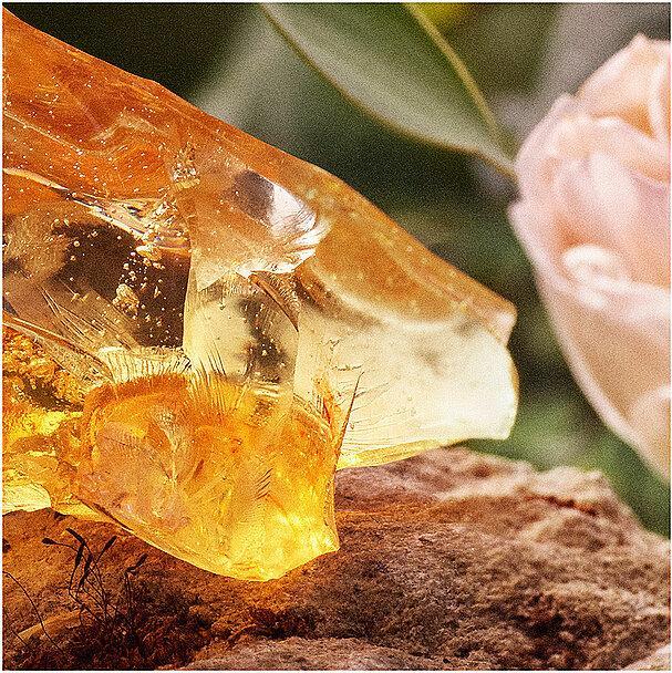 Actual product image Chloé Chloé (Eau de parfum, 100 ml)