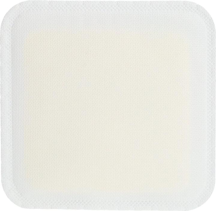Produktbild BSN Sorbion Sana Gentle 12x12cm (10 x)