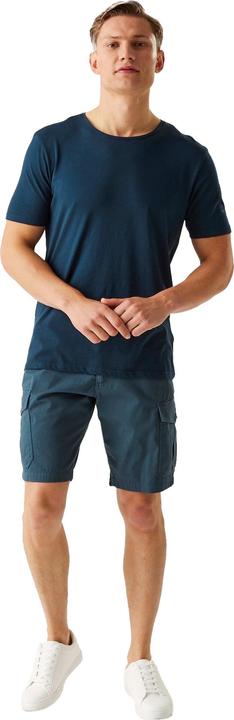 Actual product image Regatta Mens Ruwan Casual Shorts (56)