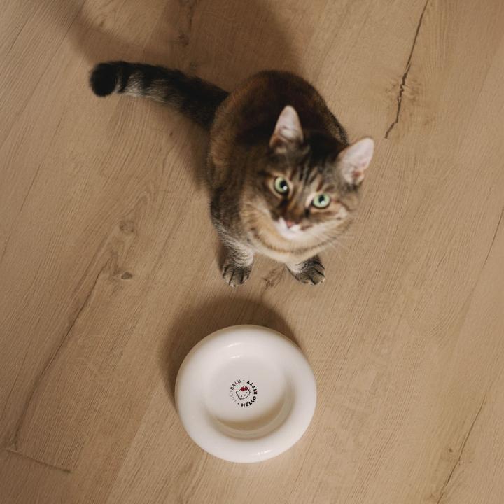 Image du produit LucyBalu DROP Katzennapf - Hello Kitty Edition