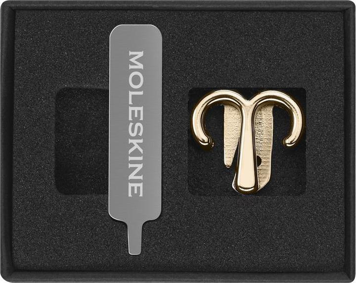 Actual product image Moleskine Pins Aquarius Gold (No binding)