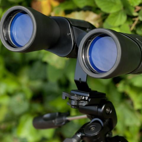 Image du produit Praktica Falcon 7x50 Binoculars (7 x, 50 mm)