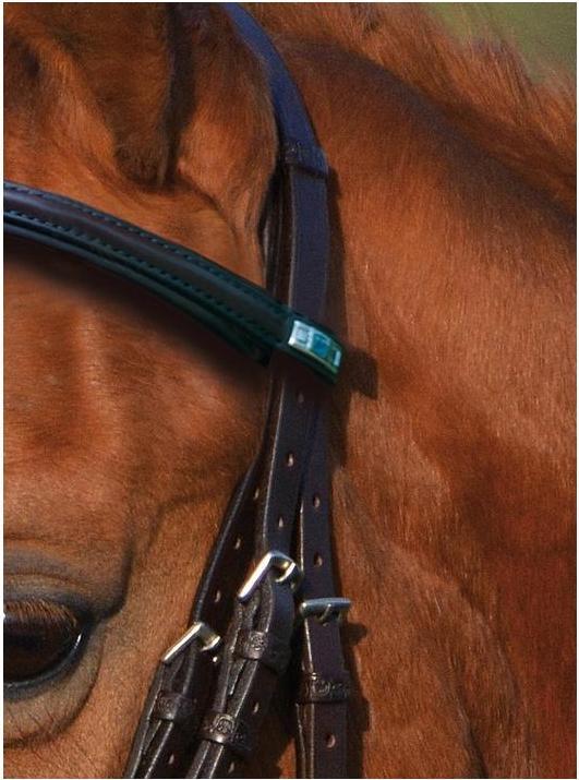 Actual product image Stübben Leitrim Bridle with English Combination Noseband