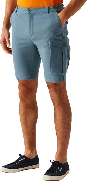 Actual product image Regatta Mens Bendrick Shorts (40)
