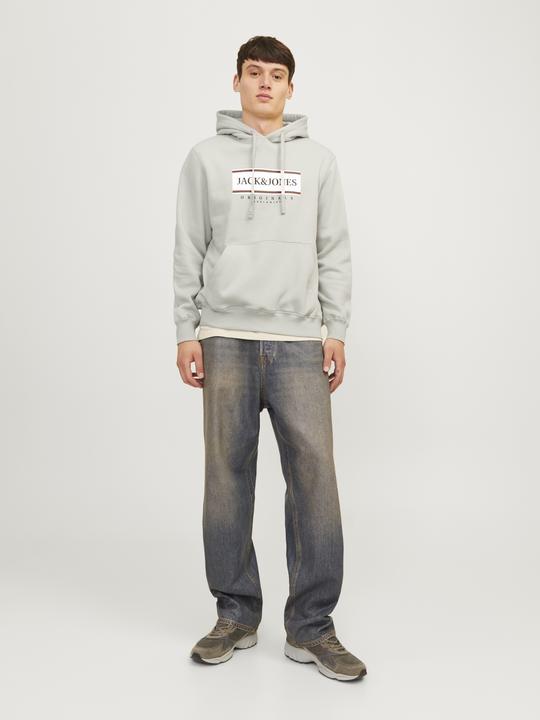 Actual product image Jack & Jones Jorfrederiksberg Box Sweat Hood Sn (S)