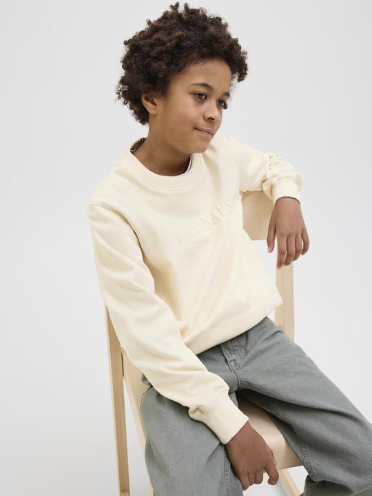 Actual product image Jack & Jones Gedruckt Sweatshirt Junior Sweatshirt (140)