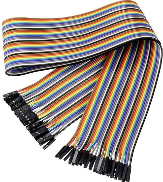 Renkforce Drahtbrücken-Buchse - Drahtbrücken-Buchse 60 cm Flachkabel