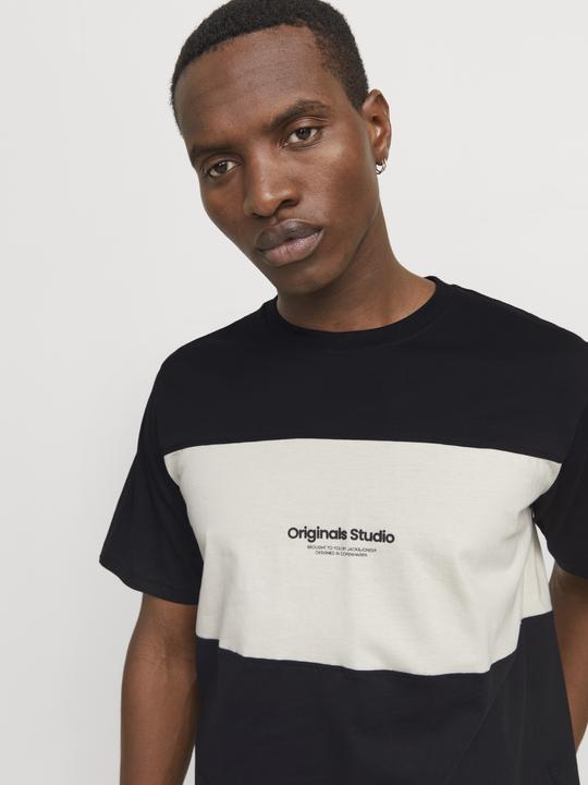 Produktbild Jack & Jones Jorvesterbro Block Tee Ss Crew Styd Aw24 (S)