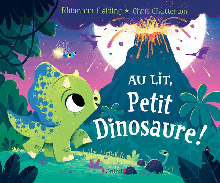 Image du produit Gründ éditions Au lit, petit dinosaure! (Français, Chatterton Chris, Fielding Rhiannon, 2021)