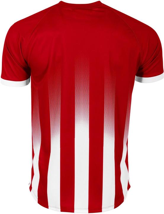 Produktbild Stanno Vivid Trikot (L)