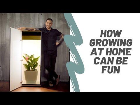 Produktbild Growfor.life Pflanzenschrank