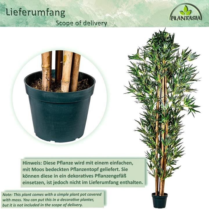 Produktbild Plantasia Bambus Strauch (160 cm)