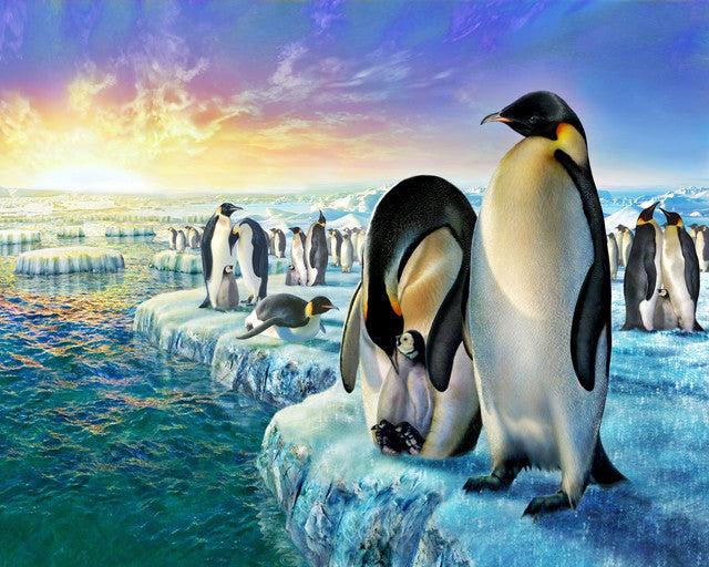 Produktbild Figured'Art Malen nach Zahlen Pinguine auf der Eisscholle auf Keilrahmen gespannt