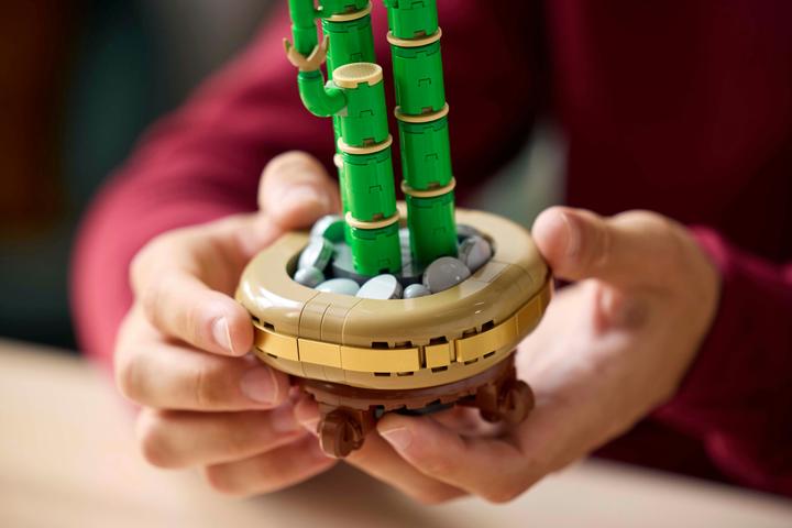 Productafbeelding LEGO Glücks-Bambus (10344, LEGO Icons)