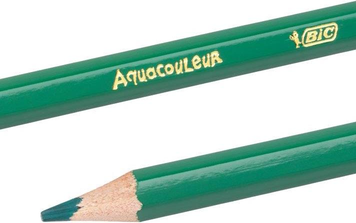 Actual product image Bic Kids Aqua Couleur (Multicoloured, 24 x)