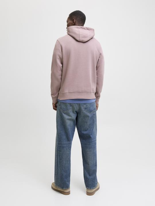Actual product image Jack & Jones Kapuzenpullover Kapuzenpullover (XS)