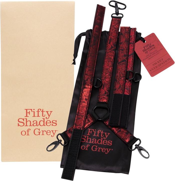 Actual product image Fifty Shades of Grey FSOG Sweet Anticipation Collar