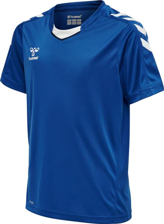 Vrai bleu