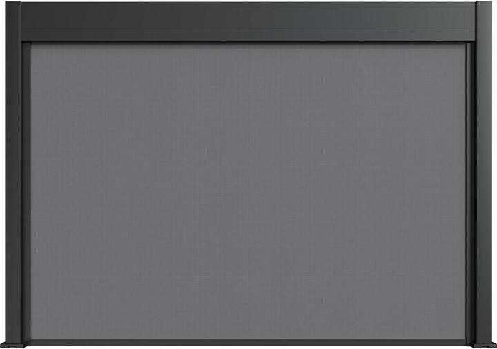 Image du produit Weide Store électrique pour pergola électrique en osier | anthracite (248.50 cm, 9 cm)