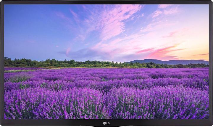 Image du produit LG Hôtel TV 28LN662V (28", LED, HD ready)