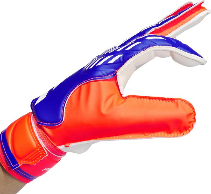 Actual product image adidas Predator (9.5)