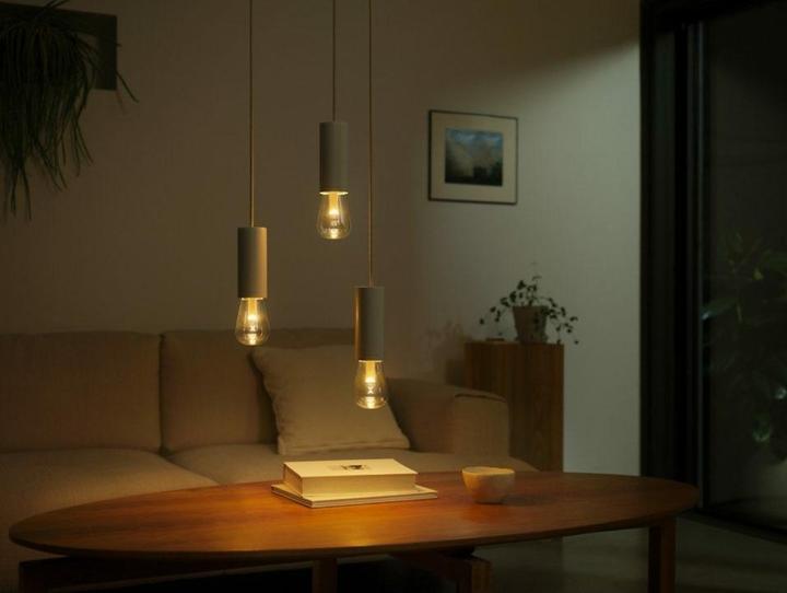 Immagine prodotto Philips Hue White & Color Ambiance Lightguide Giant Edison (E27, 6.80 W, 500 lm, 1 x, G)