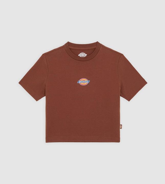 Dickies Maple Valley Tee Cappuccino (M)