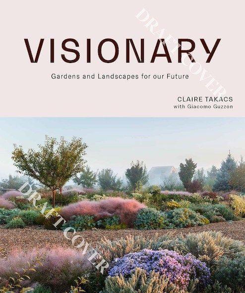 Produktbild Visionary (EN)