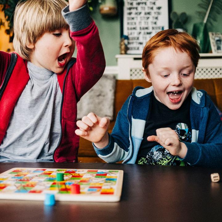Actual product image Bigjigs Traditional Snakes and Ladders (German, French, Italian, English)
